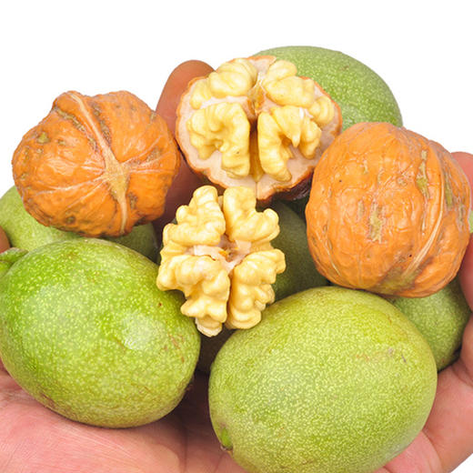 四川凉山去皮鲜核桃【3斤/5斤】 商品图4