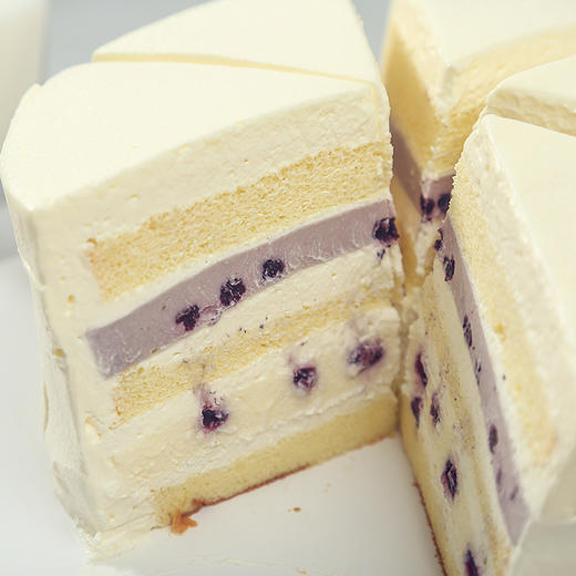 恐龙物语-巧滋 商品图2