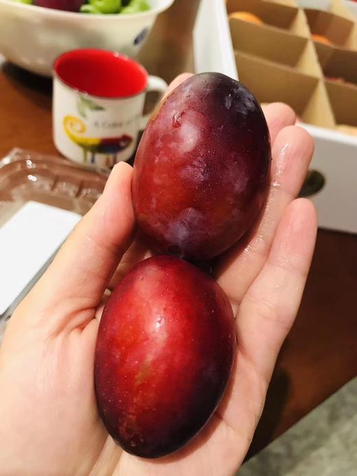 美国西梅2斤装甜嫩可口食用柔嫩清新软硬兼吃入口水润新鲜