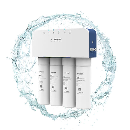 蓝飘尔净水售后保养RL400 商品图0