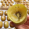 新西兰金果 22规格大果 商品缩略图7