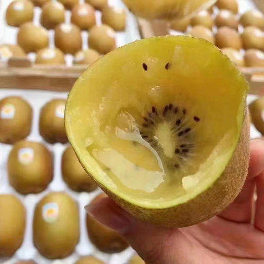 新西兰金果 22规格大果 商品图7