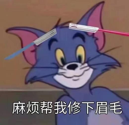 日本KAI贝印专业初学者美容安全修眉刀刮眉刀防护网5支装套装 商品图2