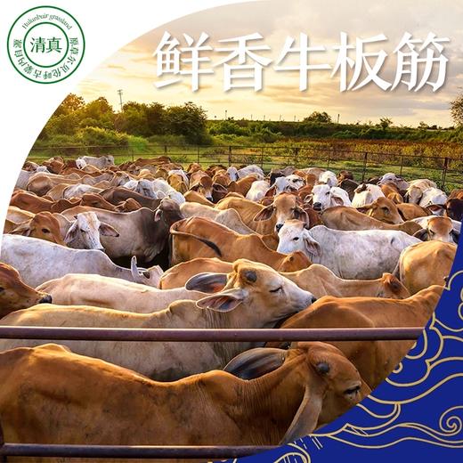 【满口回味 草原滋味】食在草原自拌牛板筋 118g*2袋 呼伦贝尔清真食品 独立真空包装开袋即食 商品图2