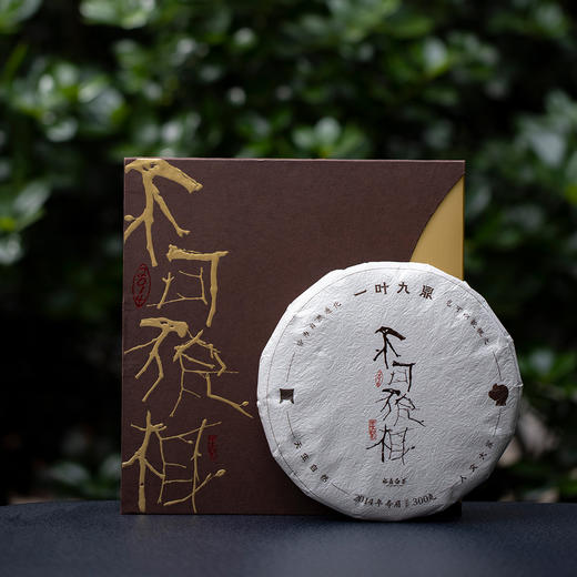 白茶 | 一叶九鼎 2021年新品 2014年原料 不可貌相 寿眉300g/饼/盒 商品图2