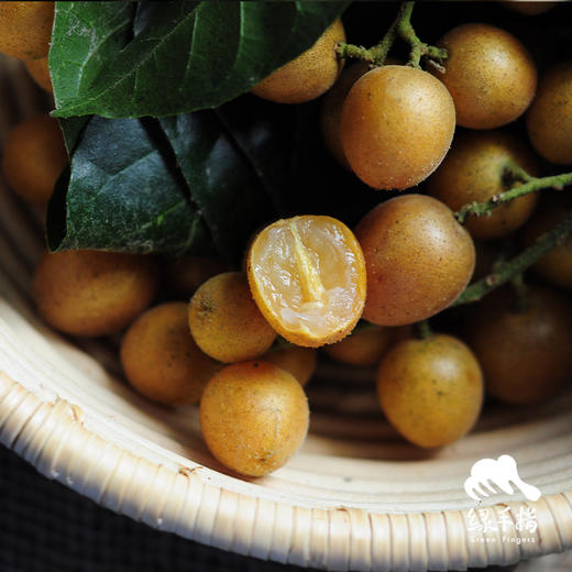 生态黄皮 | 合作生产 *Eco-wampe | Coproduction 商品图5