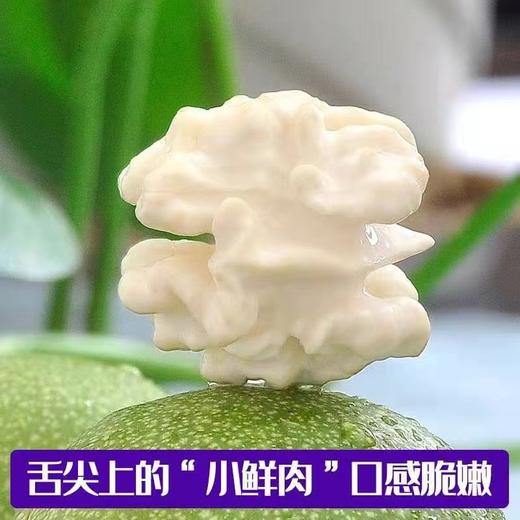 四川凉山去皮鲜核桃【3斤/5斤】 商品图2