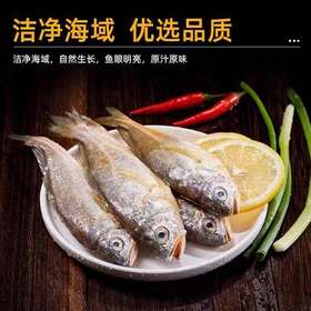 【顺丰包邮】青岛本地小黄花鱼—新鲜海捕冷冻4斤