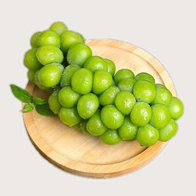 青提 青王 葡萄