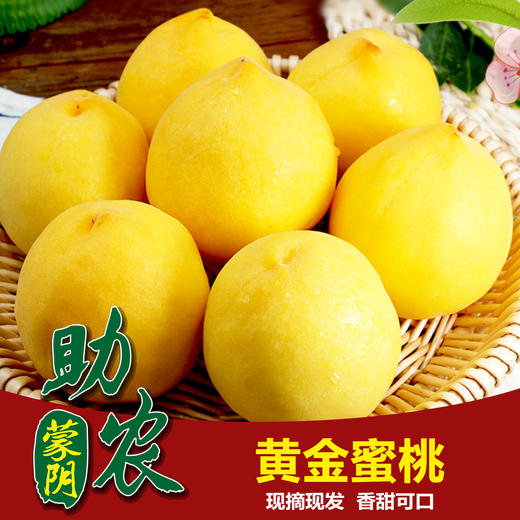 山东蒙阴黄金蜜桃5斤装 商品图0