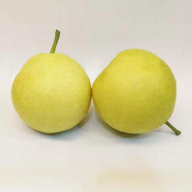 早白蜜梨  500g/份