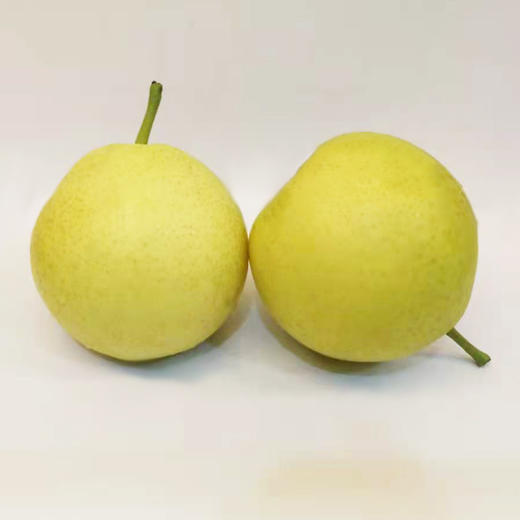 早白蜜梨  500g/份 商品图0