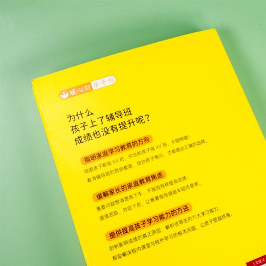 《为什么孩子上了辅导班成绩也没有提升呢？》只有孩子没掌握的学习方法，没有非上不可的辅导班！关于辅导班的各种困惑，都能在这本书中找到答案。 商品图4