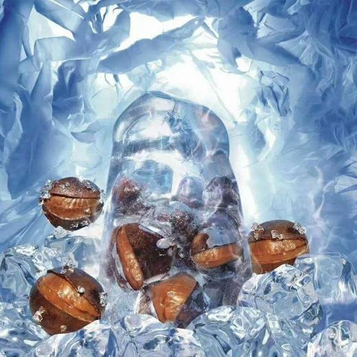 冰冻栗子 开口笑 冰板栗 栗子熟栗子坚果零食 商品图1