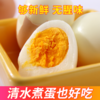 棒享  湖北宜昌橘园谷饲土鸡蛋40枚（单枚克重45g左右） 商品缩略图3