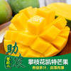 四川攀枝花凯特芒果【5斤/9斤】 商品缩略图0