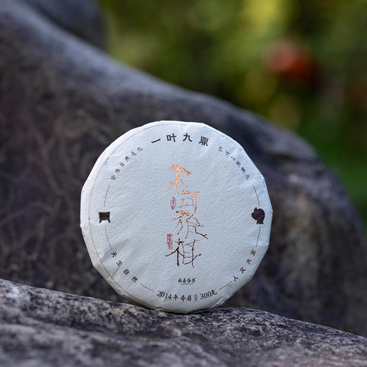 白茶 | 一叶九鼎 2021年新品 2014年原料 不可貌相 寿眉300g/饼/盒 商品图0