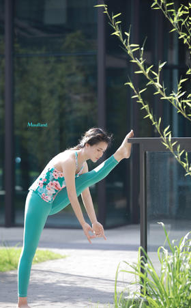 爆款好货 拼纱工字背上衣-碧绿•梅花