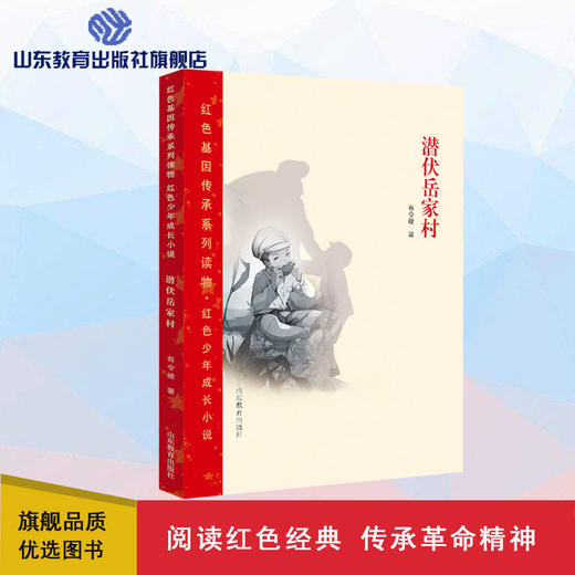 潜伏岳家村 商品图0