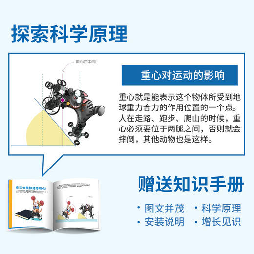 玩物百科 攀爬的猫和老鼠（yw） 商品图4