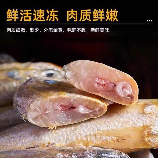 【顺丰包邮】青岛本地小黄花鱼—新鲜海捕冷冻4斤 商品图2