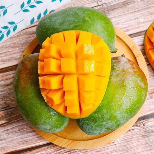 【芒果】四川攀枝花凯特芒果新鲜青芒果当季水果新鲜大芒果凯特芒 商品图0