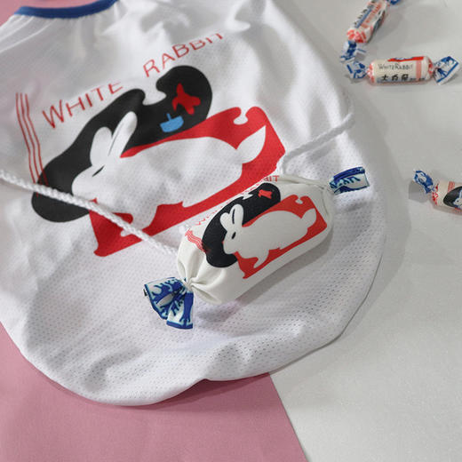 【猫咪狗狗服】宠物狗狗网眼背心春秋夏季透气幼犬猫咪装薄 商品图1