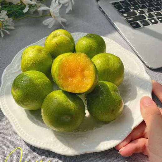 巫山脆李 商品图2