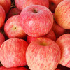 【助农】正宗山东烟台红富士 脆甜爽口 皮薄鲜美多汁 商品缩略图4
