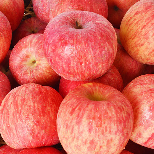 【助农】正宗山东烟台红富士 脆甜爽口 皮薄鲜美多汁 商品图4