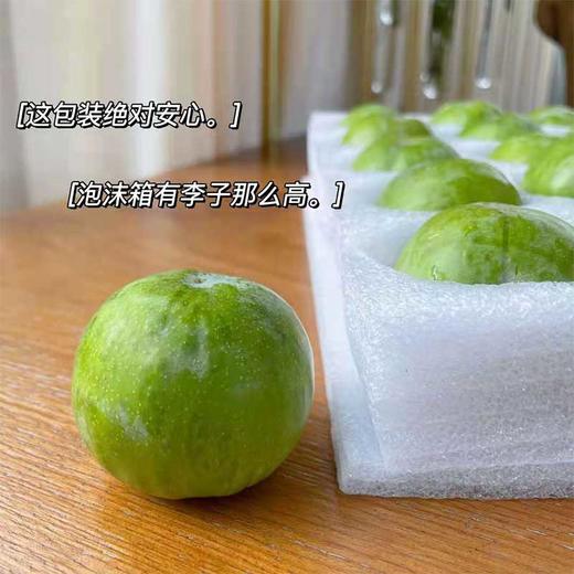 巫山脆李 商品图3