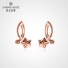 【时尚K金】钻石世家 18K金耳钉 金枝玉叶繁花耳钉耳饰 立体雕花星星造型 红花绿叶造型耳钉 车花刻面纹理（约0.91±0.1克） 商品缩略图0