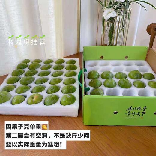 巫山脆李 商品图4