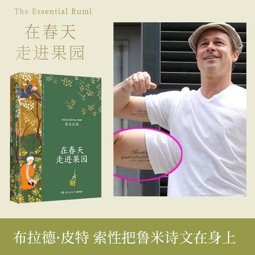 鲁米经典《在春天走进果园》 商品图5