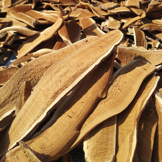 清远市林中宝灵芝片120g/包 新款包装 商品图2