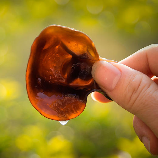 清远市林中宝黑木耳200g/包 新款包装 商品图1