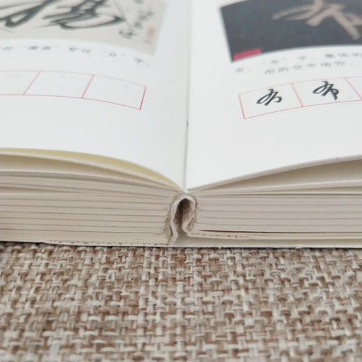 《圣教序字字析》青年书法家黄文新倾力编著，耗时3年，1523字高清展现，字字精讲，全面打通！ 商品图1