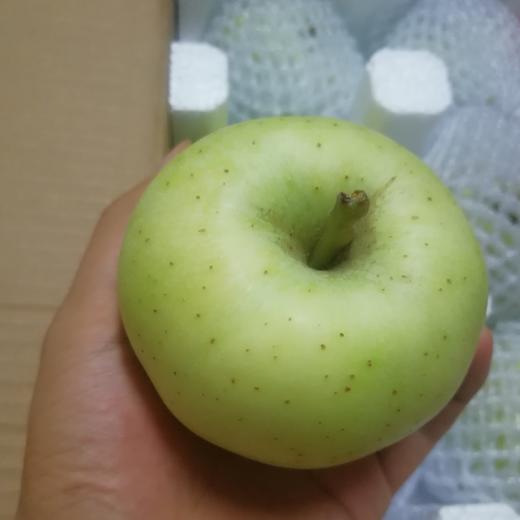 丨生态丨酵素青苹果 净重8斤，实发8斤以上,一两个坏果不售后 商品图0