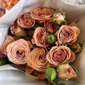 国产多头玫瑰-卡布奇诺