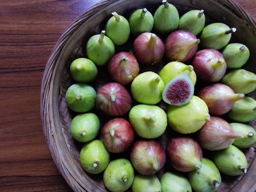 有机无花果 商品图7