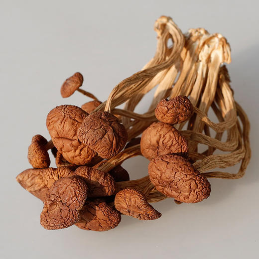 清远市林中宝茶薪菇120g/包 新款包装 商品图1