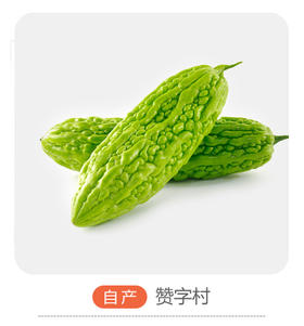 赞字村苦瓜（±50g/份）