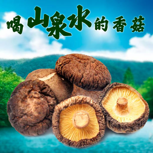 清远市林中宝粤北香菇180g/包 新款包装 商品图2