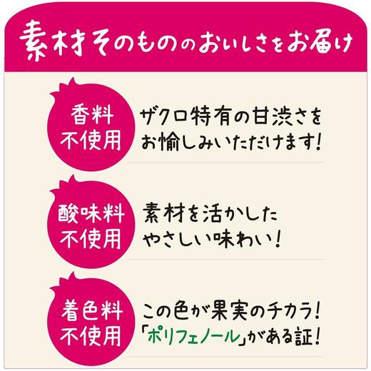 伊藤园 混合果味饮料（石榴）（622452） 商品图3