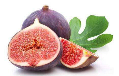 有机无花果 商品图10