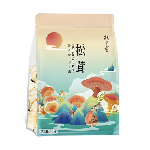 清远市林中宝松茸70g/包 新款包装 商品图0