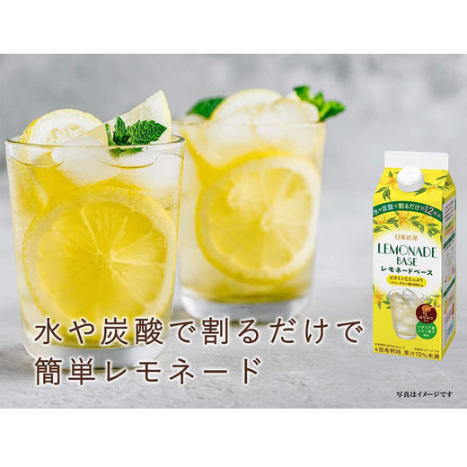日东红茶 浓缩蜂蜜柠檬味稀释饮料（510238） 商品图4
