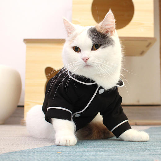 【猫猫服】猫咪衣服宠物睡衣春夏薄款