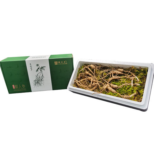 长白山15年新鲜野山参10支礼盒装 商品图4