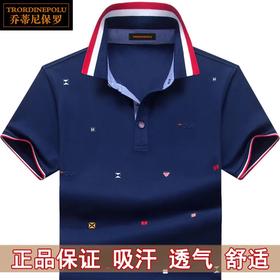TZW-保罗短袖T恤男士POLO衫商务休闲刺绣上衣